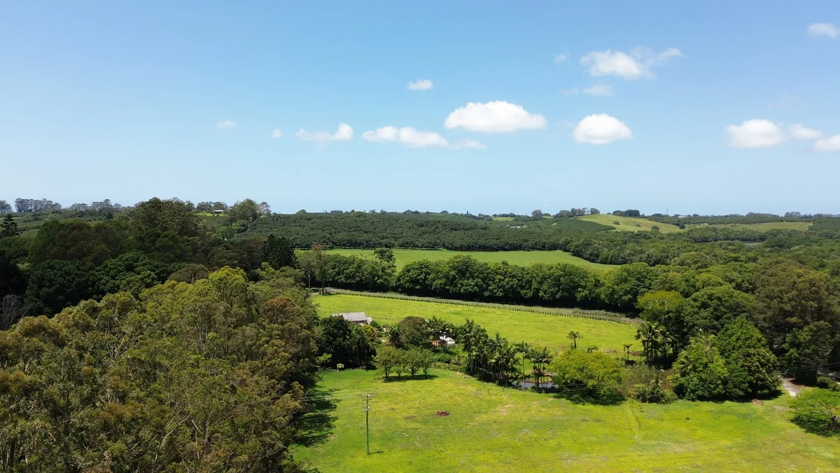 Additional image 28 of 517 Friday Hut Road, Brooklet NSW 2479