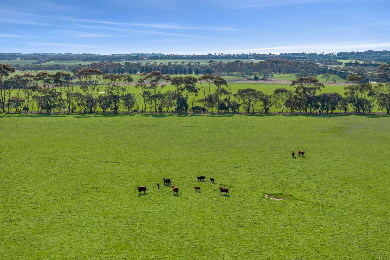 Additional image 6 of 680 Ghazeepore Road, Freshwater Creek VIC 3217