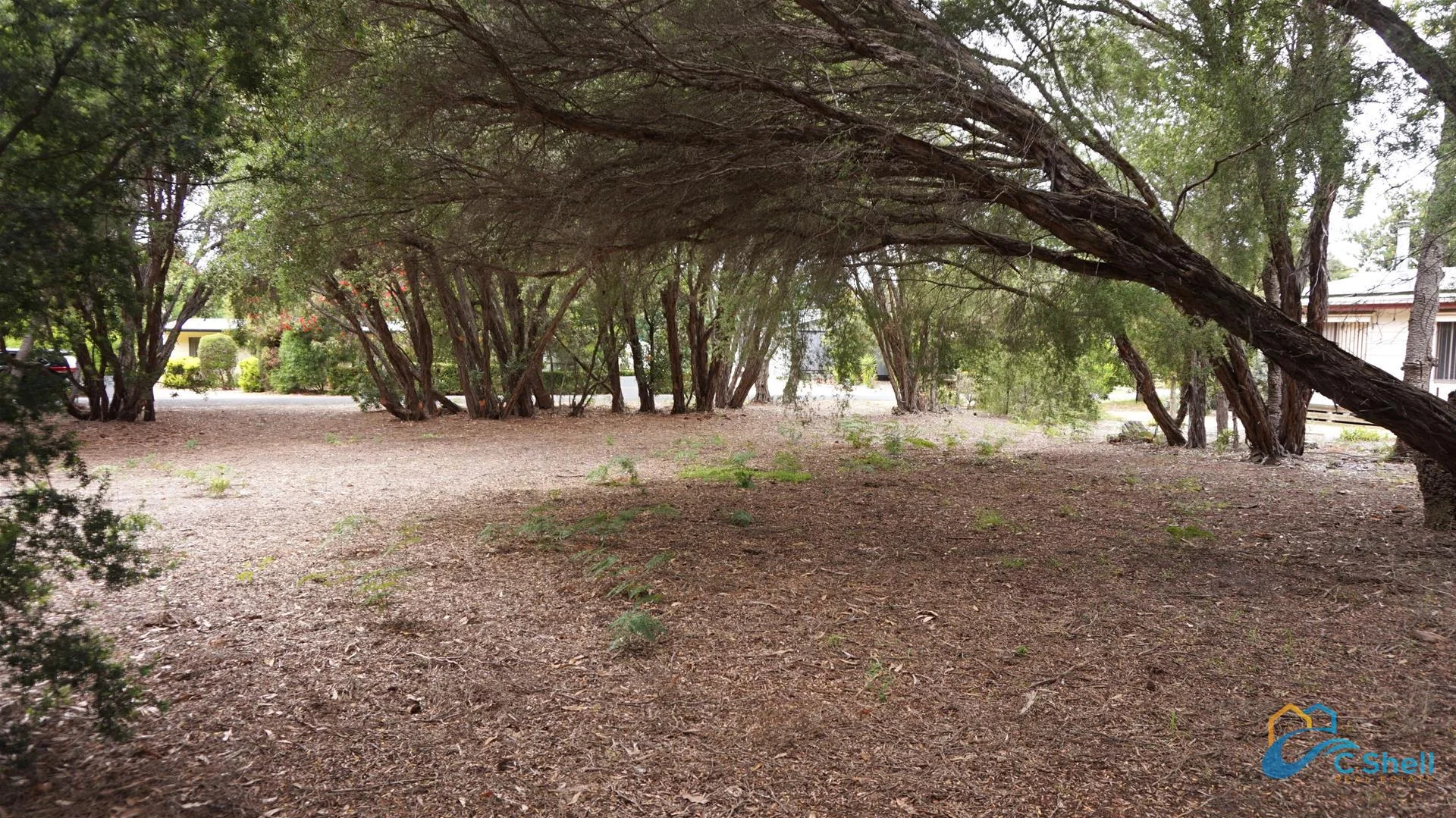 25 Carroll Street, Loch Sport VIC 3851