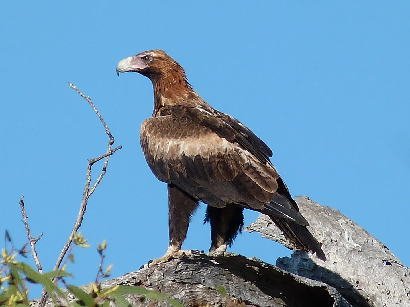 Additional image 20 of Notch Point Road, Ilbilbie QLD 4738