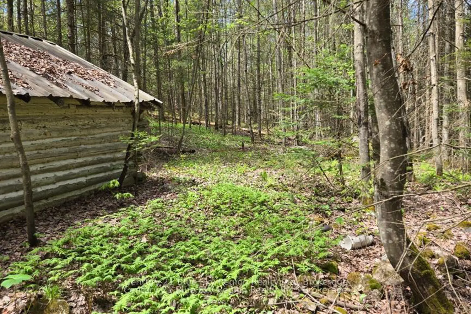 Additional image 8 of Pt Lt 10 Con 16 Village Road