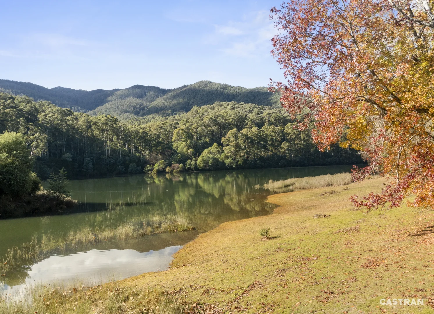 Additional image 21 of 19 Green Gully Road, Bogong VIC 3699