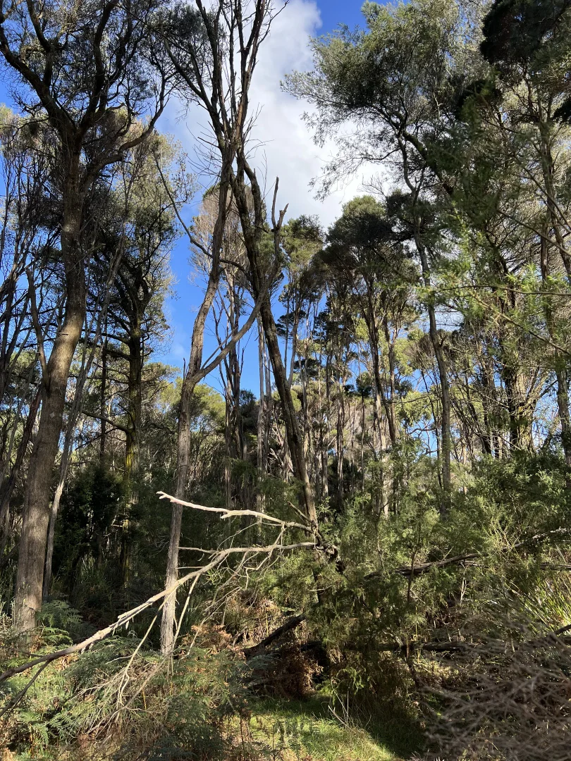 Additional image 10 of 1038 Pegarah Road, Naracoopa TAS 7256