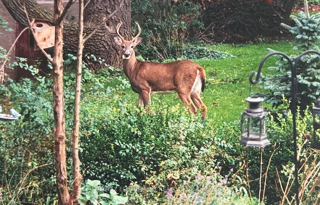 Additional image 3 of 1987 Snake Road, Burlington, ON, L7P 4Y1