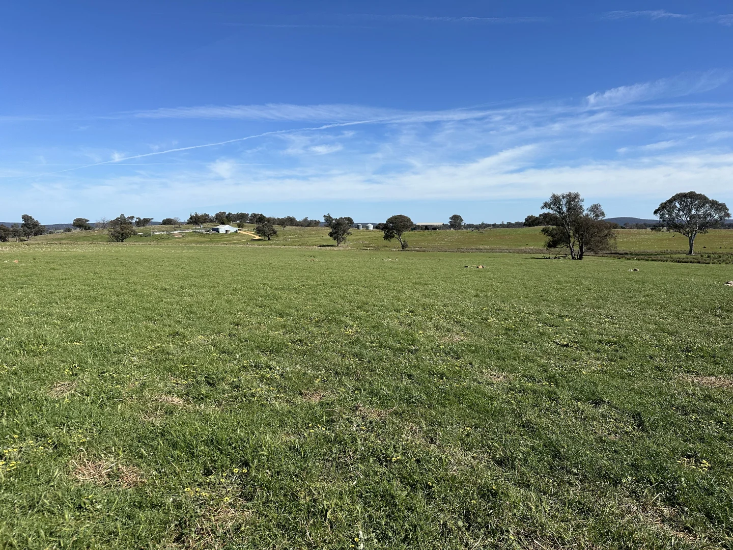 Additional image 13 of 424 Trebane Road, Crowther NSW 2803