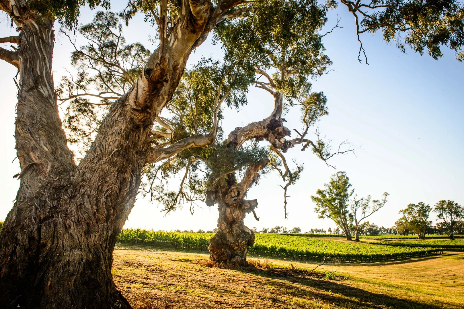 Additional image 5 of Nagambie VIC 3608