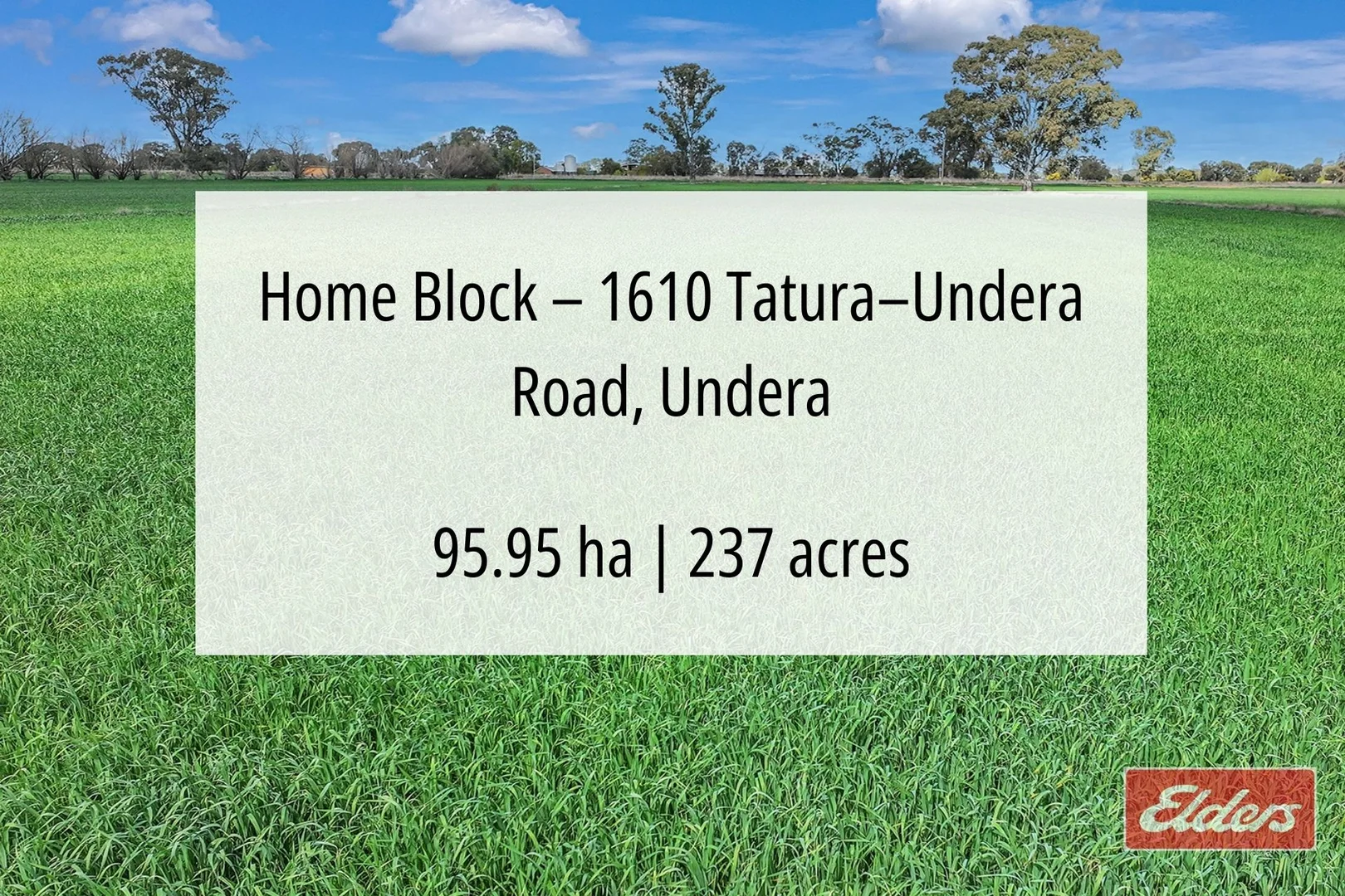 Additional image 12 of 1350 Ryan Road, Kyabram VIC 3620