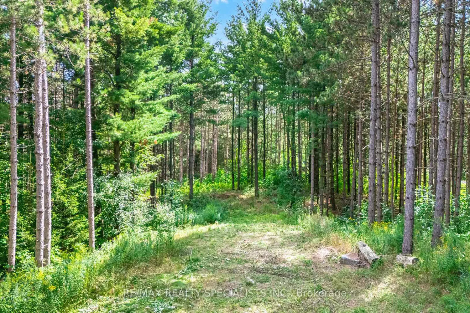 Additional image 14 of 18711 The Gore Road