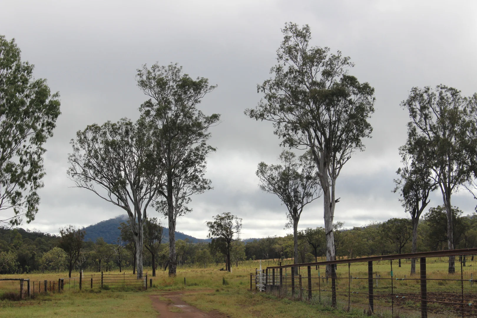 Additional image 35 of Innot Hot Springs QLD 4872