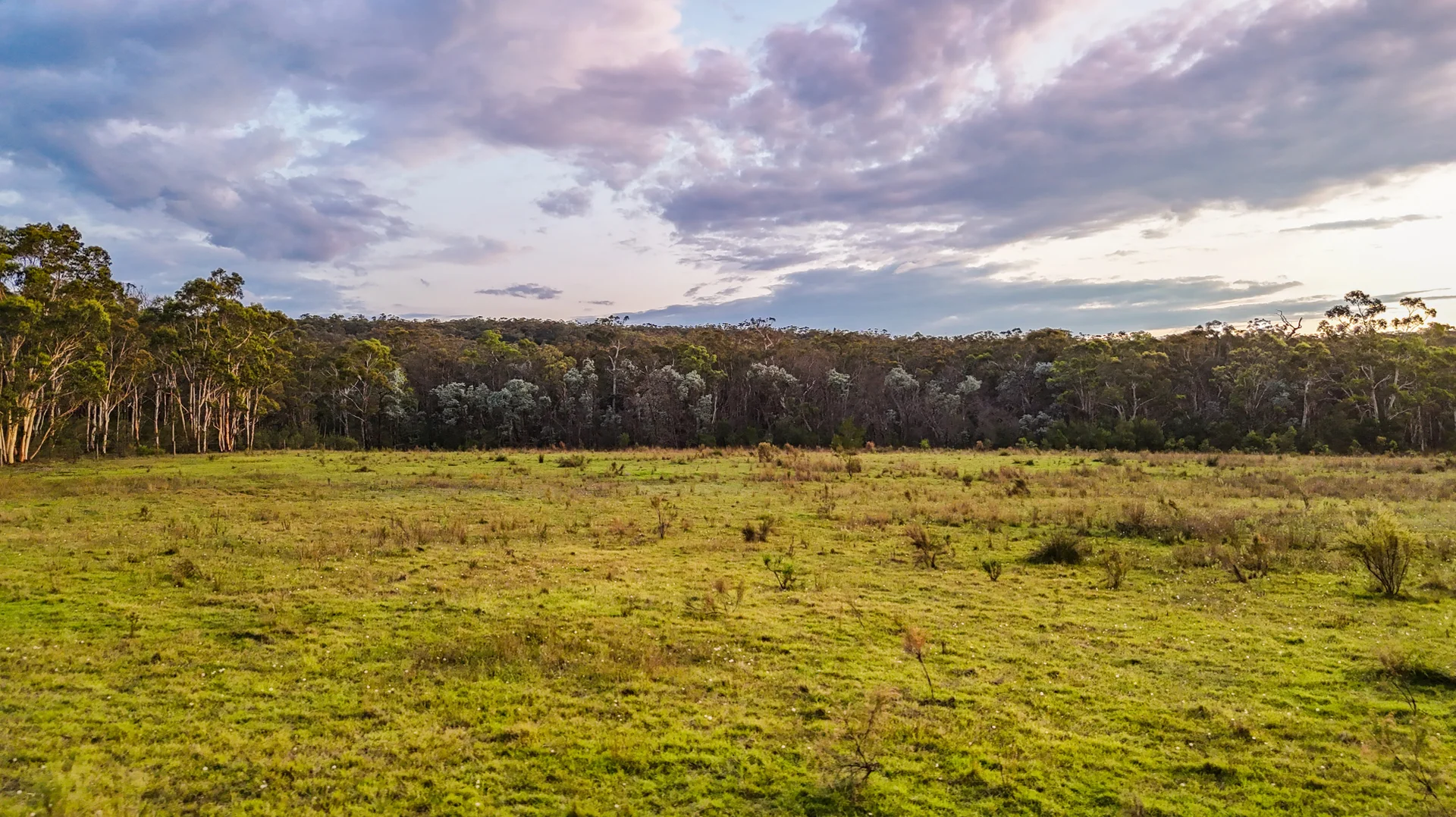 Additional image 7 of 272 Inverary Road, Paddys River NSW 2577