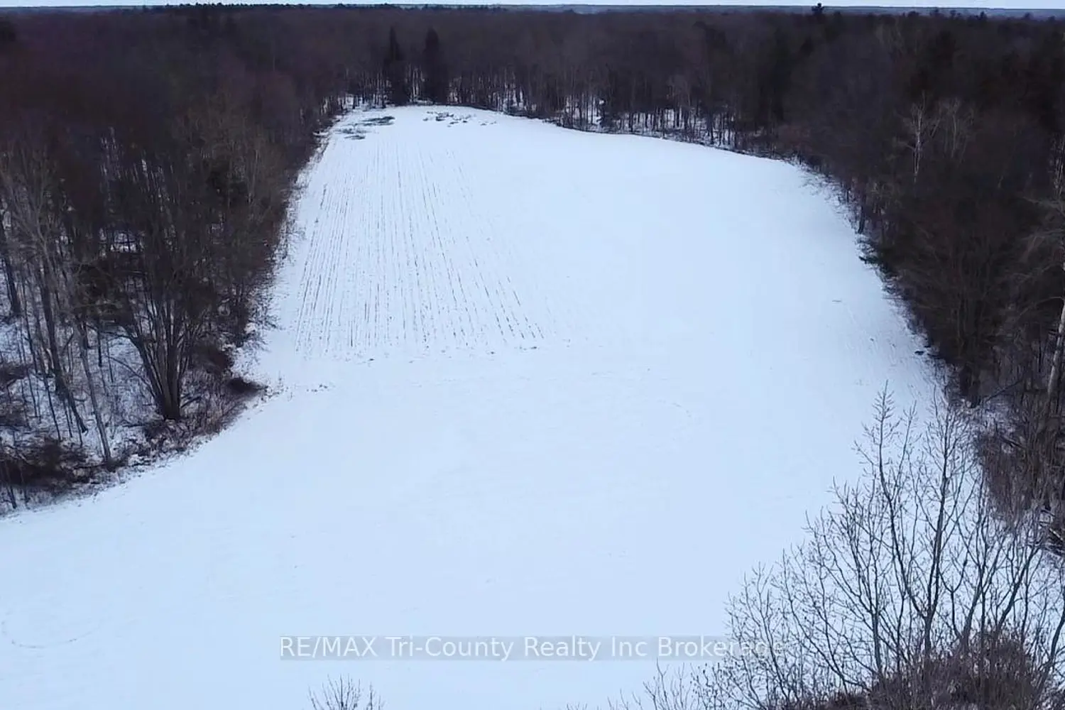 Additional image 14 of 1225 1St Concession Enr Road