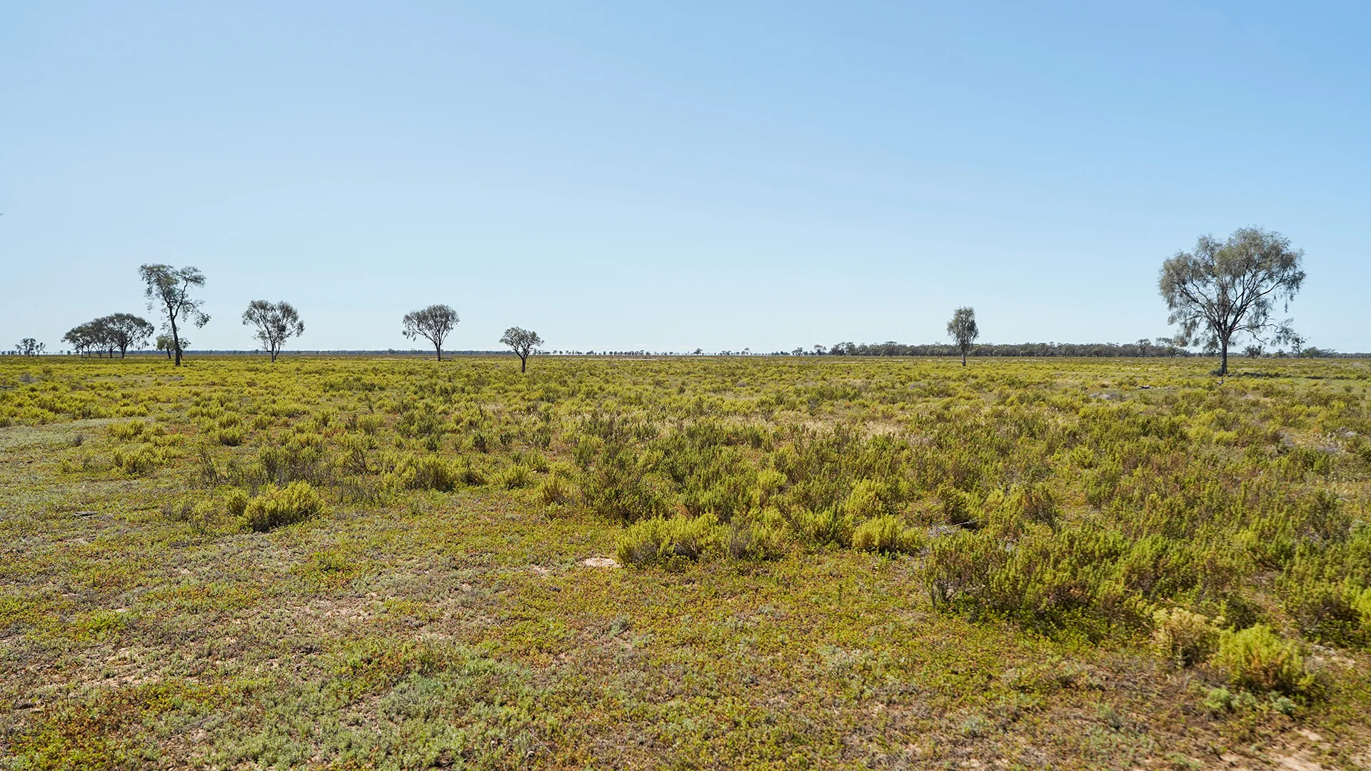 Additional image 3 of 1378 Keewong Lane, Coonamble NSW 2829