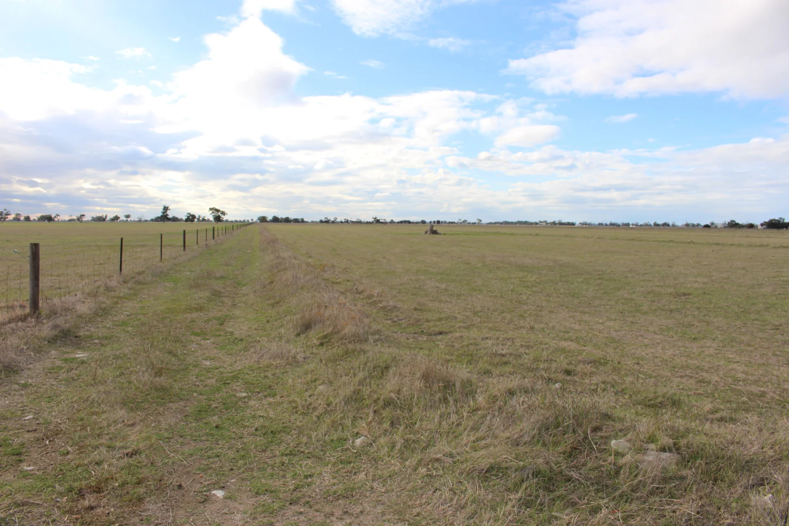 Additional image 2 of Proposed Allotment 11 Black Road, Keith SA 5267