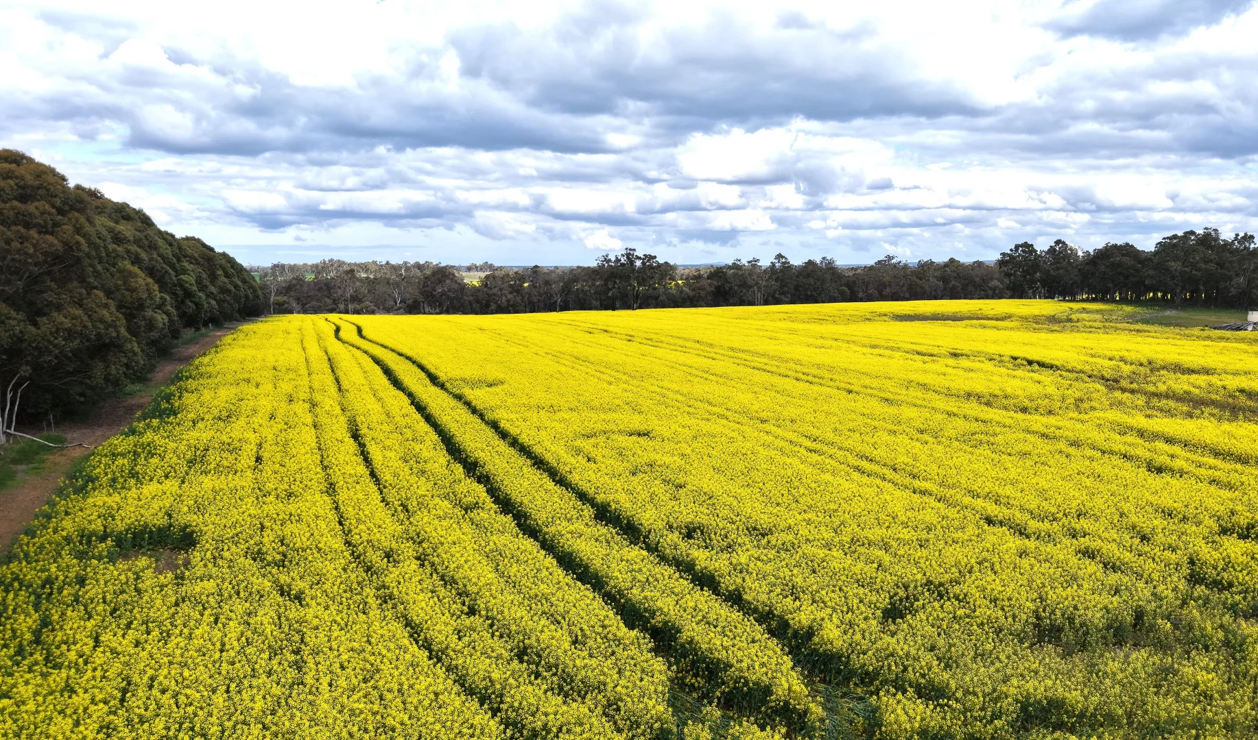 Additional image 12 of 171 Kwornicup Road, Forest Hill WA 6324