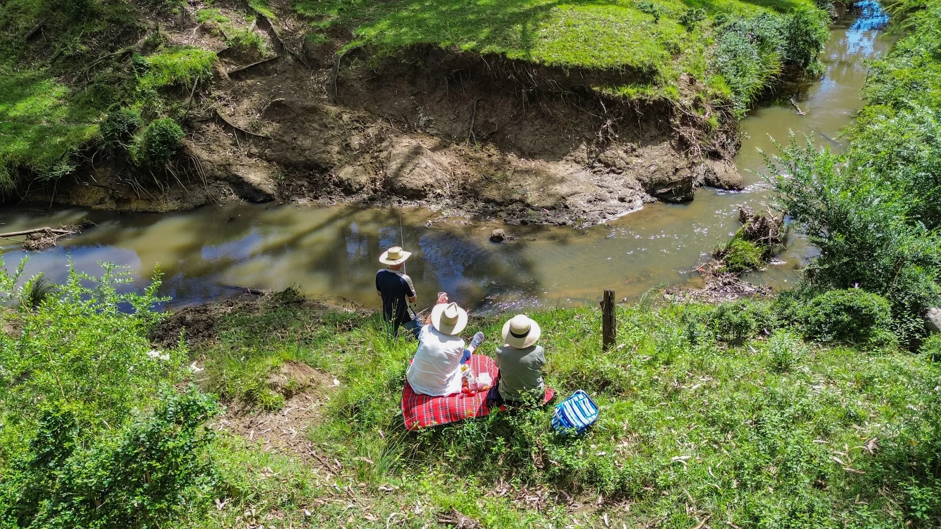 Additional image 6 of 80 Tooloom Street, Legume NSW 2476