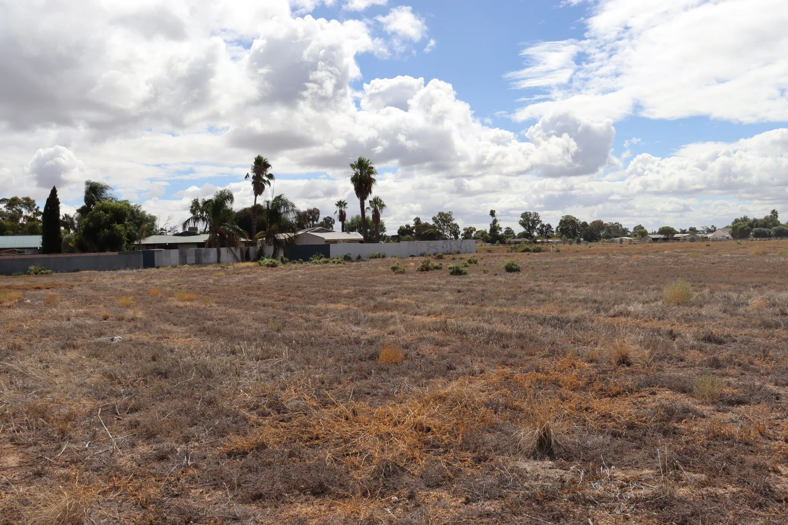 Additional image 4 of Lot 1 Renmark Avenue, Renmark SA 5341