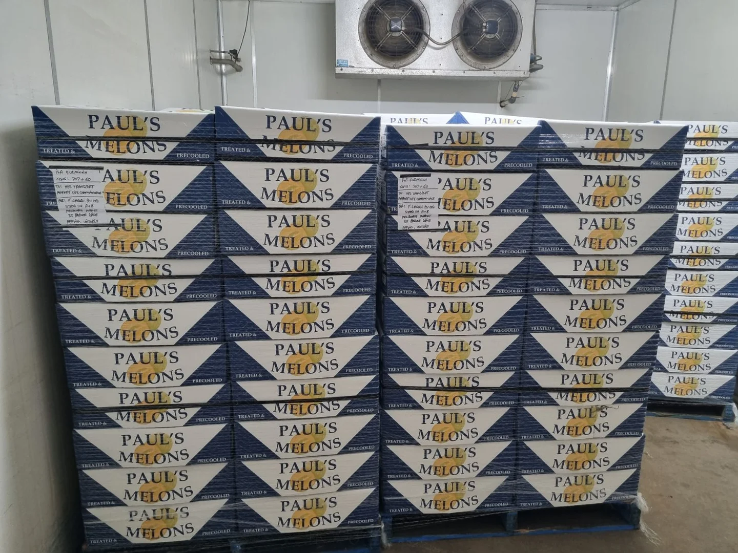 Additional image 5 of 138 North River Road, North Plantations WA 6701