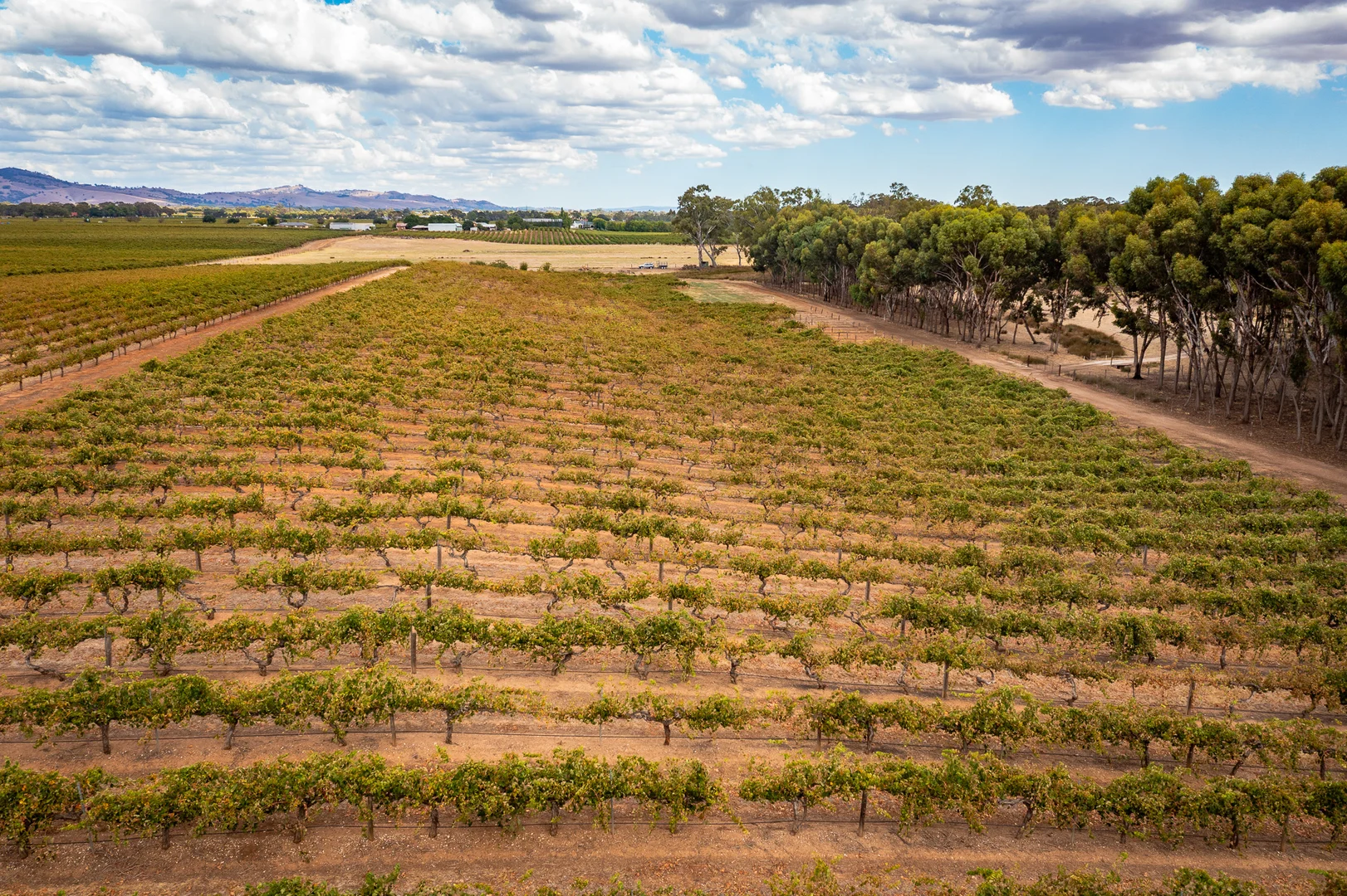 Additional image 6 of Lot 91 Nuraip Road, Nuriootpa SA 5355