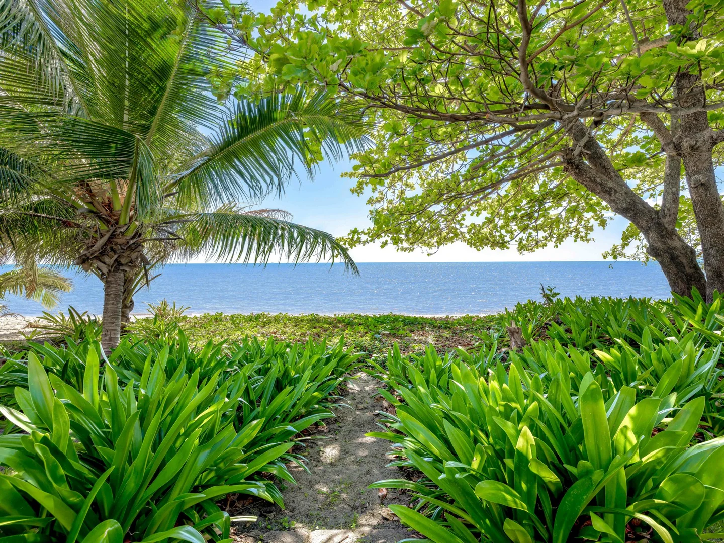 Additional image 21 of 56 Hibiscus Lane, Holloways Beach QLD 4878