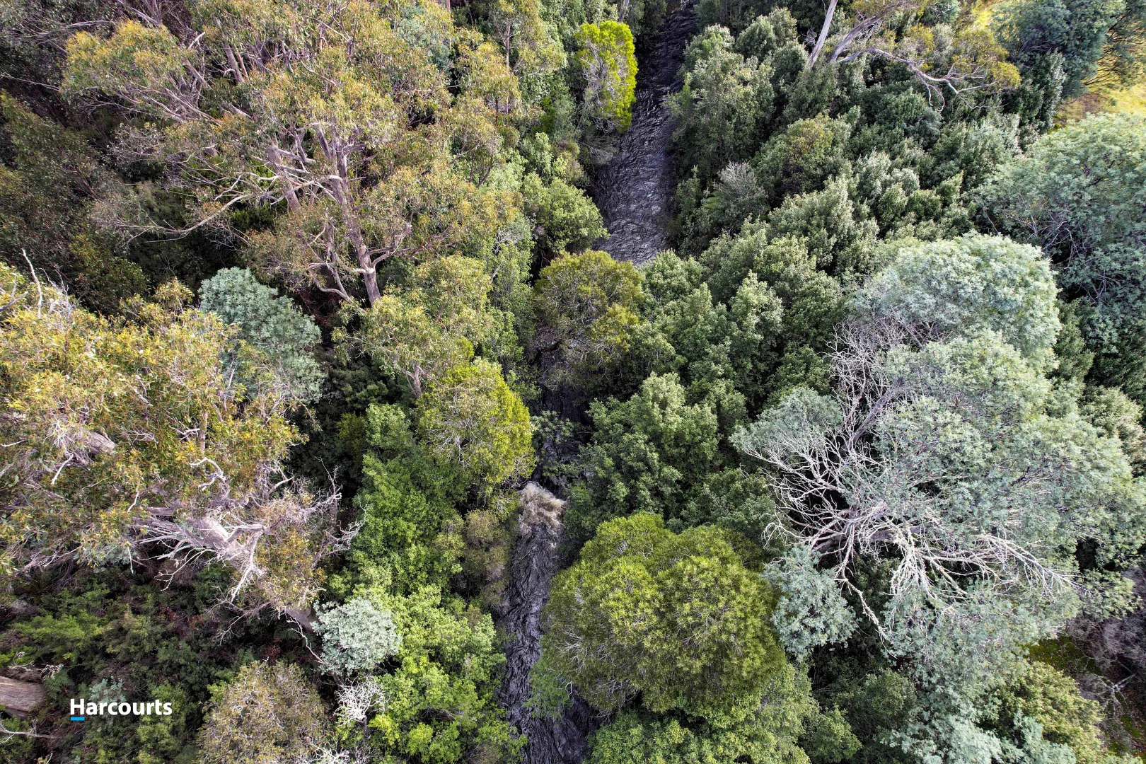 Additional image 6 of 623 Denison Road, Lonnavale TAS 7109