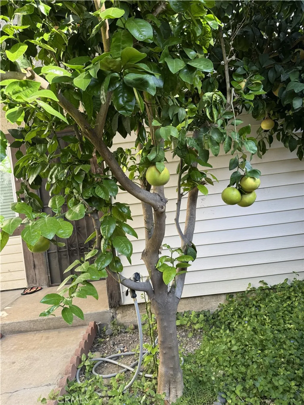 Additional image 11 of 1115 E Truman Pl, West Covina, CA 91790