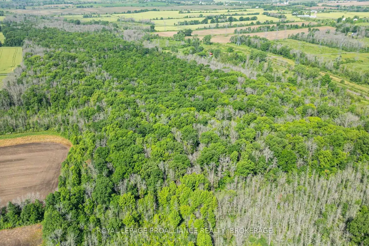 Additional image 6 of Lot B Townline Road