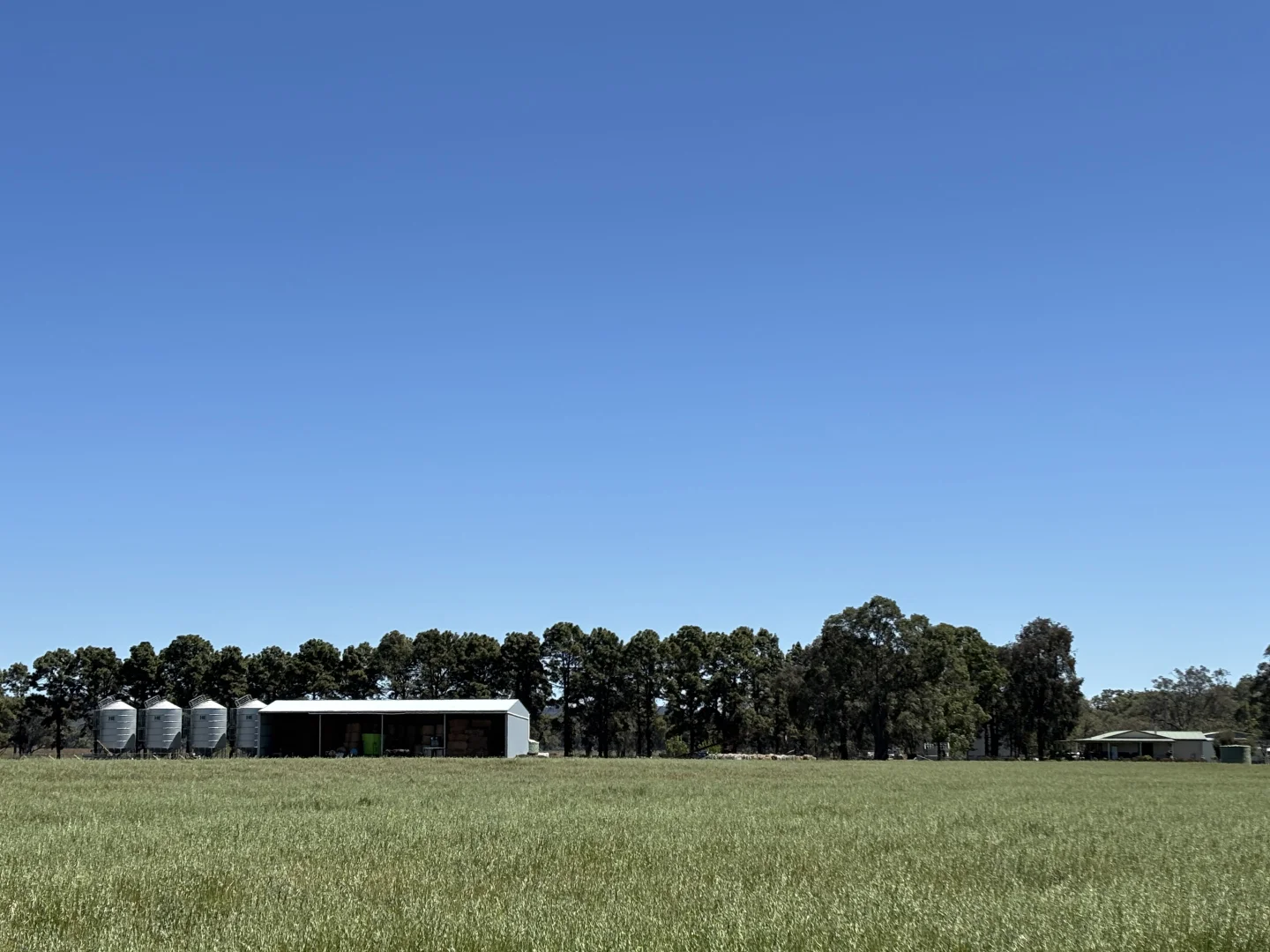 Additional image 31 of 2824 Neilrex Road, Coolah NSW 2843