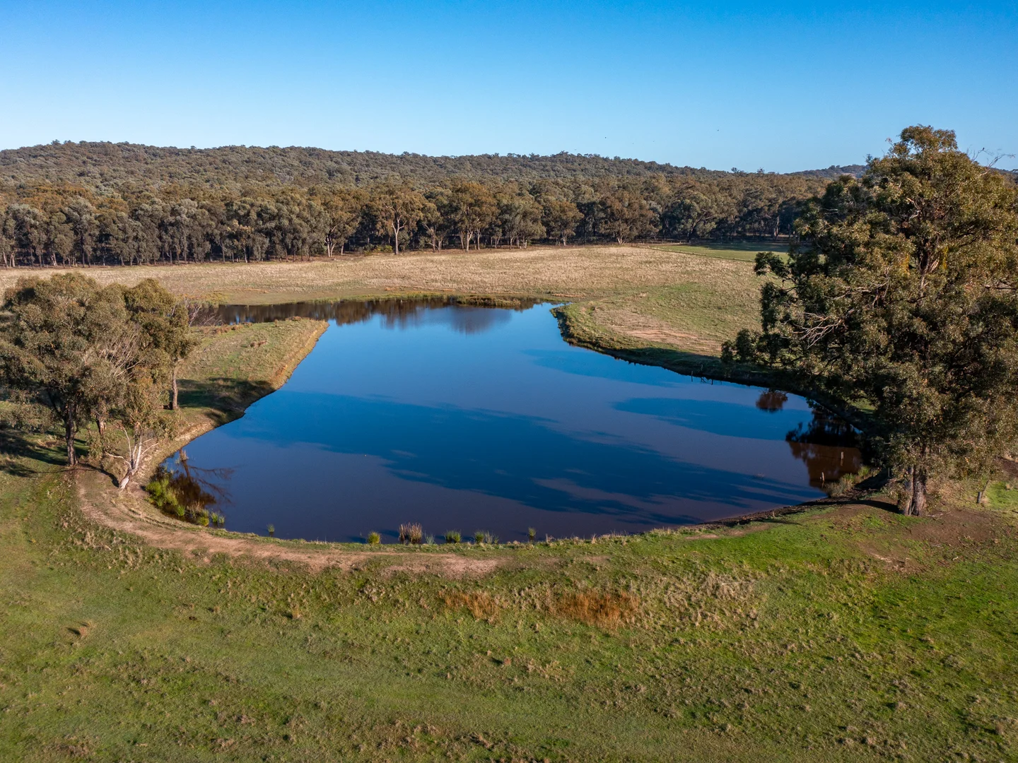 Additional image 15 of 242 Frost Road, Killawarra VIC 3678