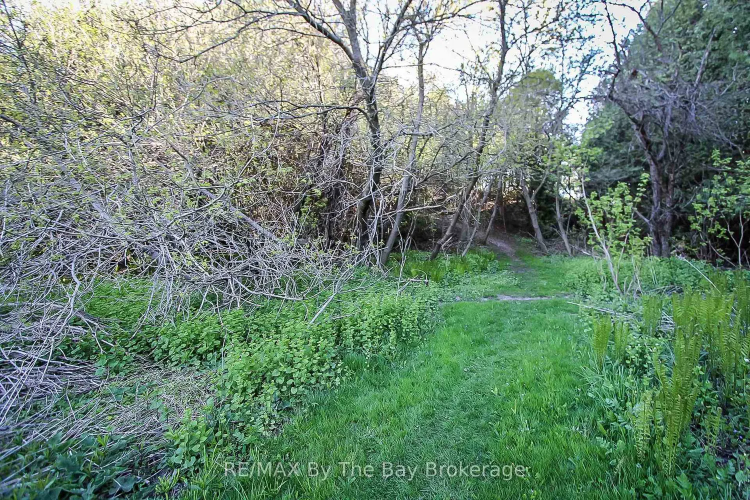 Additional image 18 of 630 Sunnidale Road