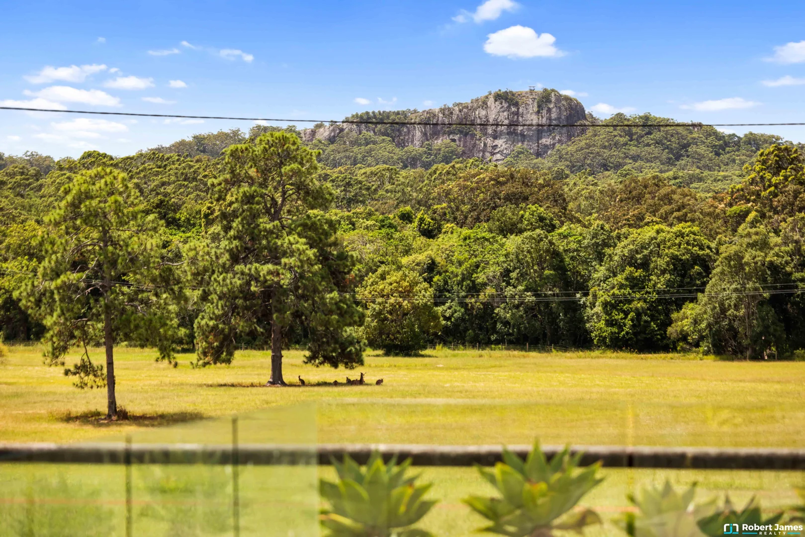 Additional image 13 of 43 Worba Lane, Tinbeerwah QLD 4563