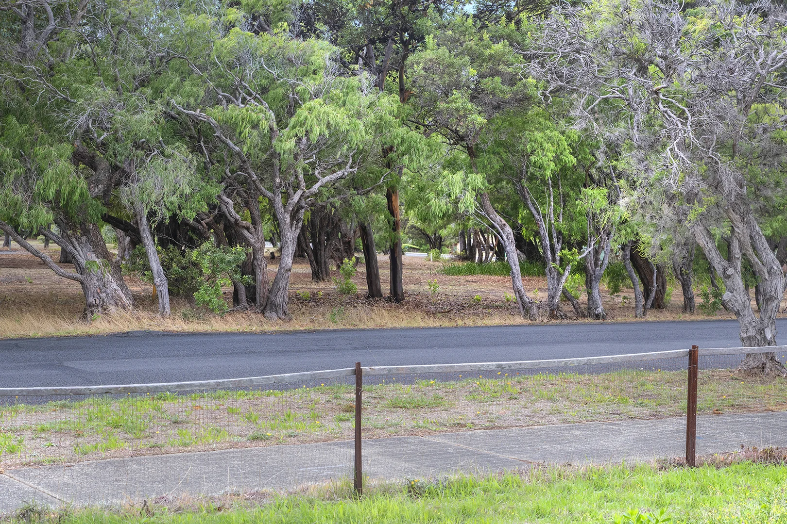 Additional image 4 of 7 Donovan Street, Augusta WA 6290