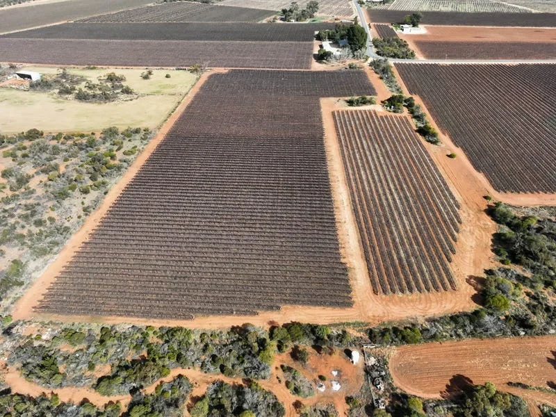 Additional image 3 of Section 862 Swinstead Road, Loveday SA 5345