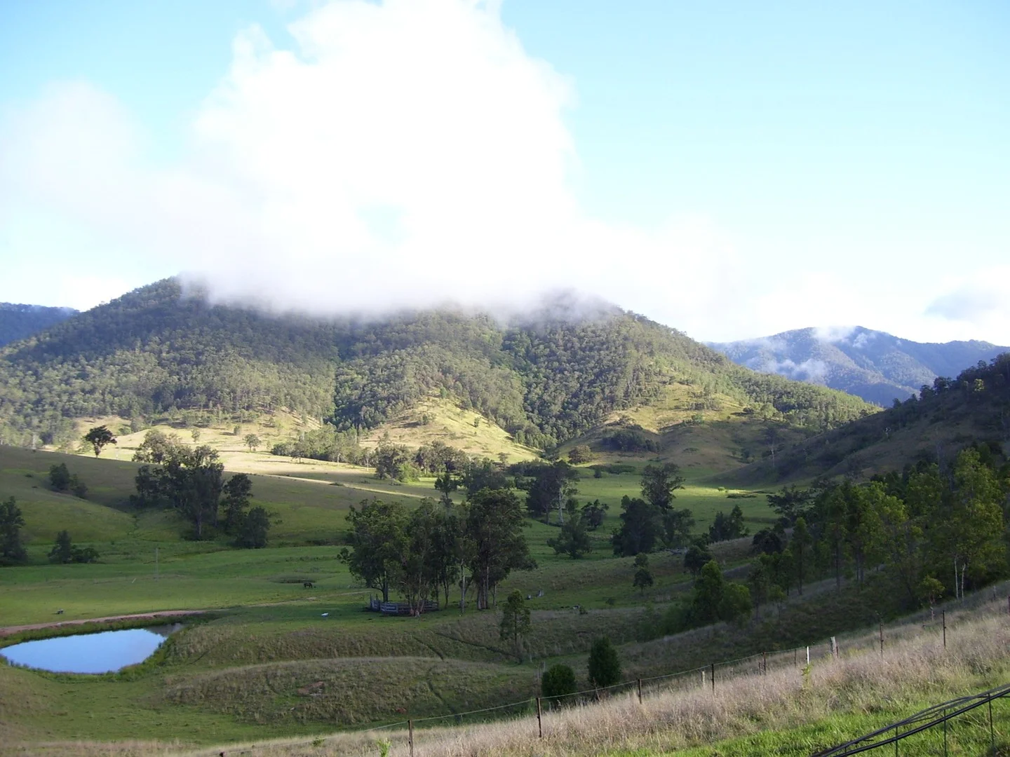 95 Smiths Creek Road, Lower Creek NSW 2440