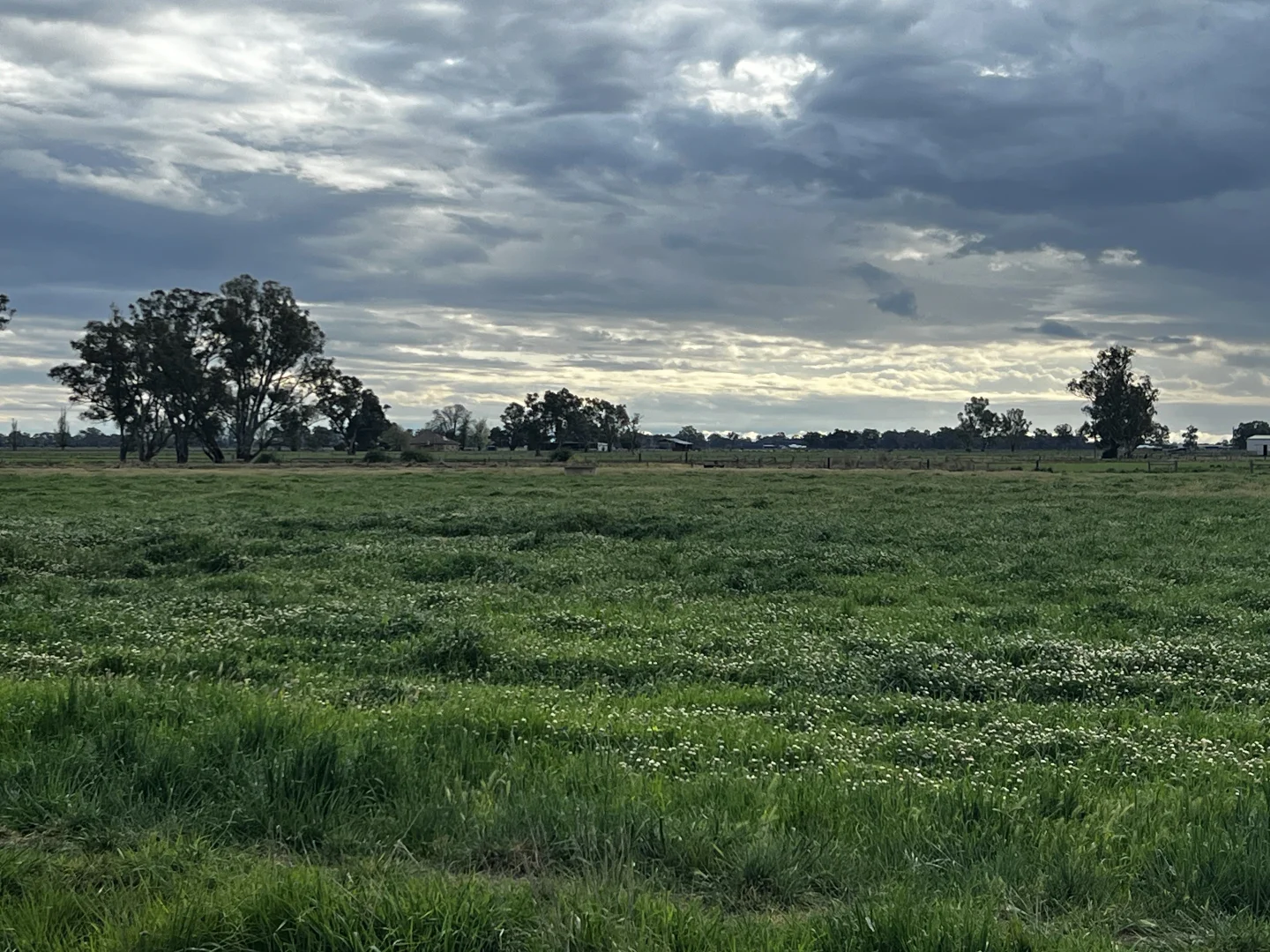 Additional image 17 of 1944 Scobie Road, Echuca VIC 3564