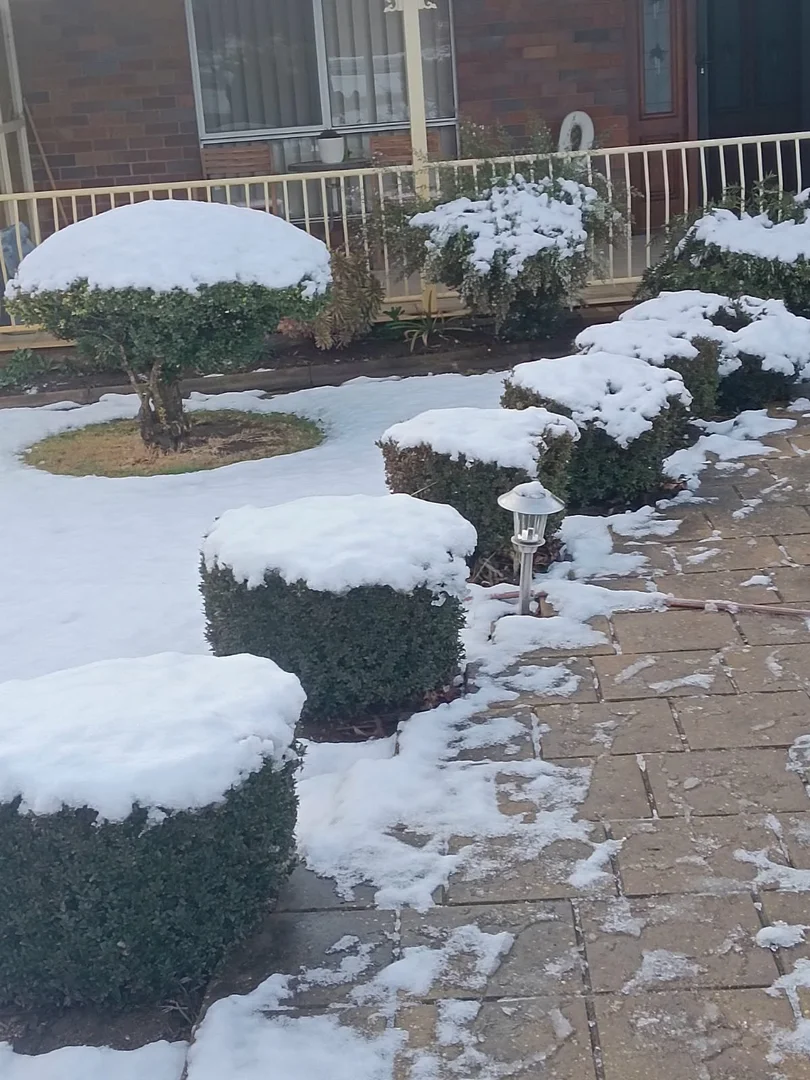 Additional image 28 of 14 Railway Street, Glencoe NSW 2365