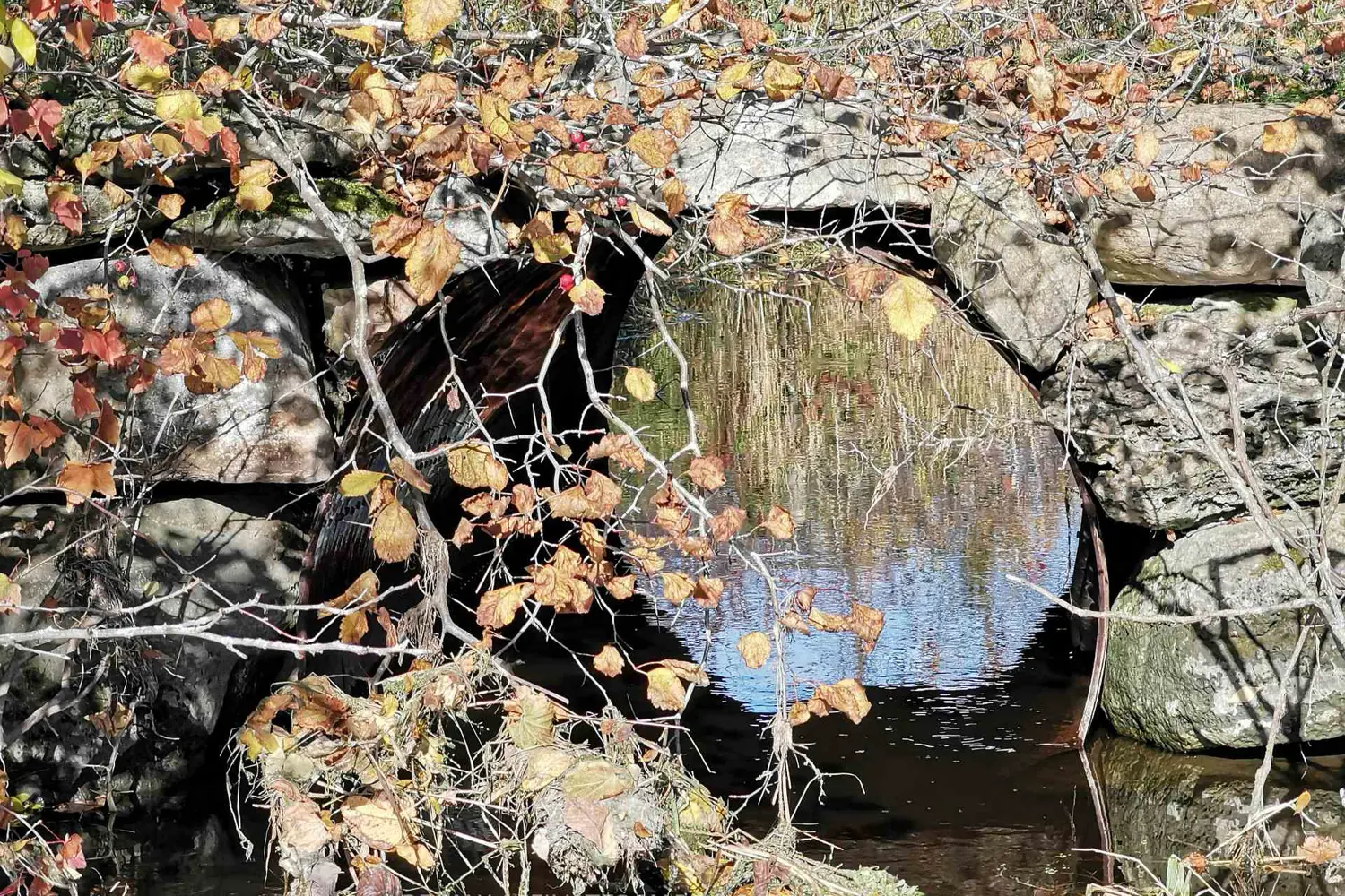 Additional image 8 of 1590 Cornwall Centre Road