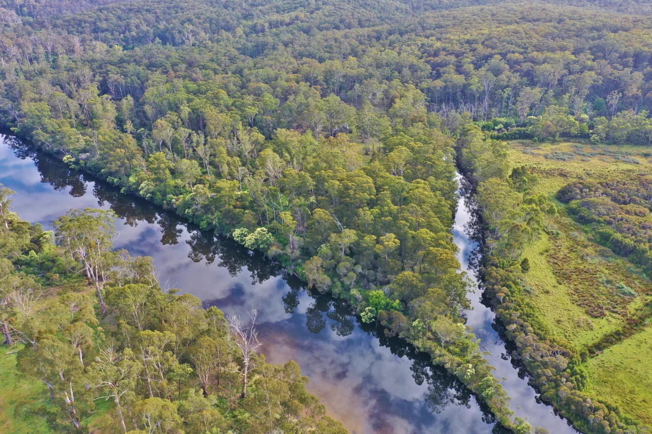 Additional image 31 of 59B Burgess Track, Wallagaraugh, Genoa VIC 3891