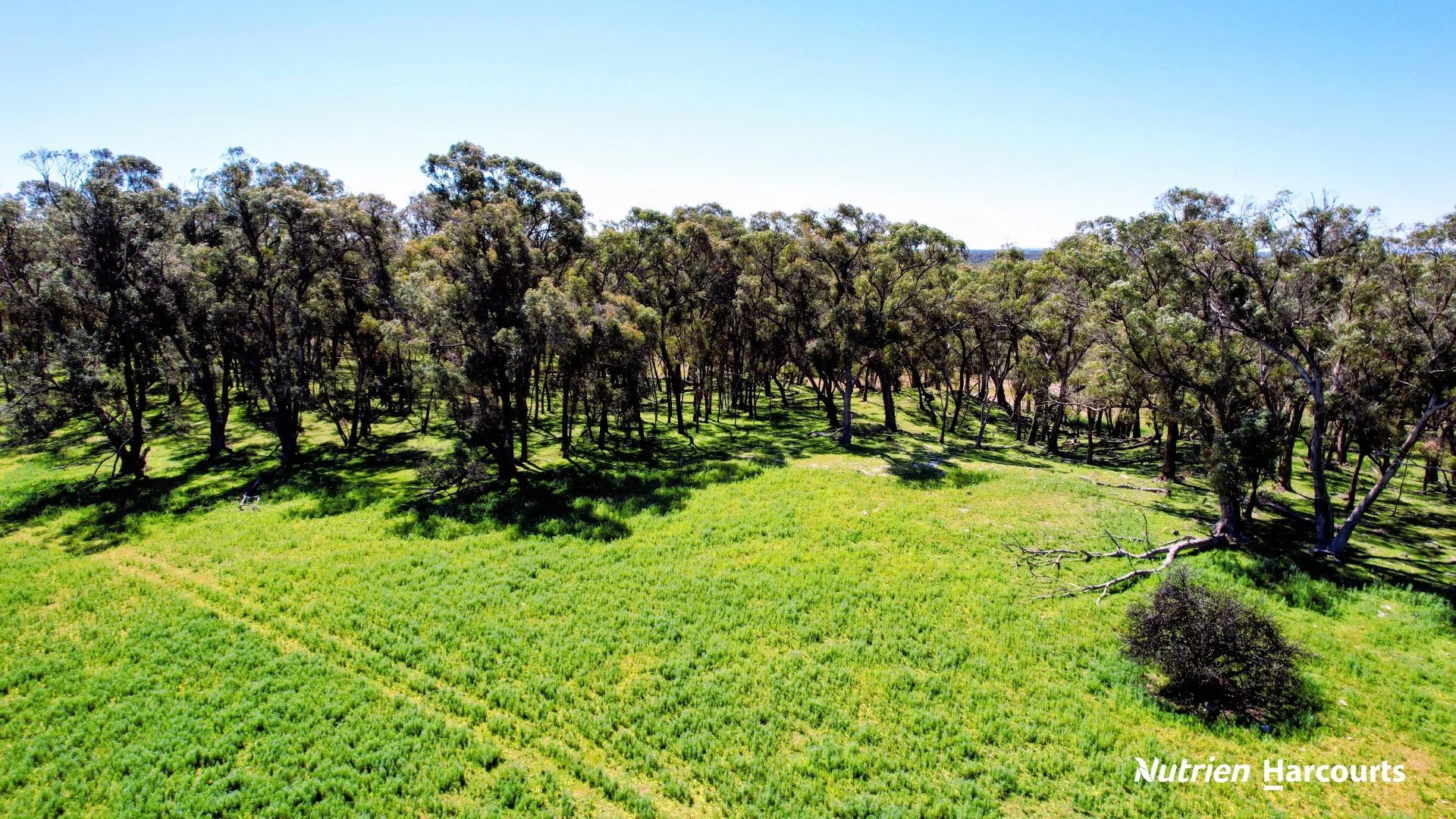 Additional image 11 of Lot 52 Cowalla Road, Cowalla WA 6503