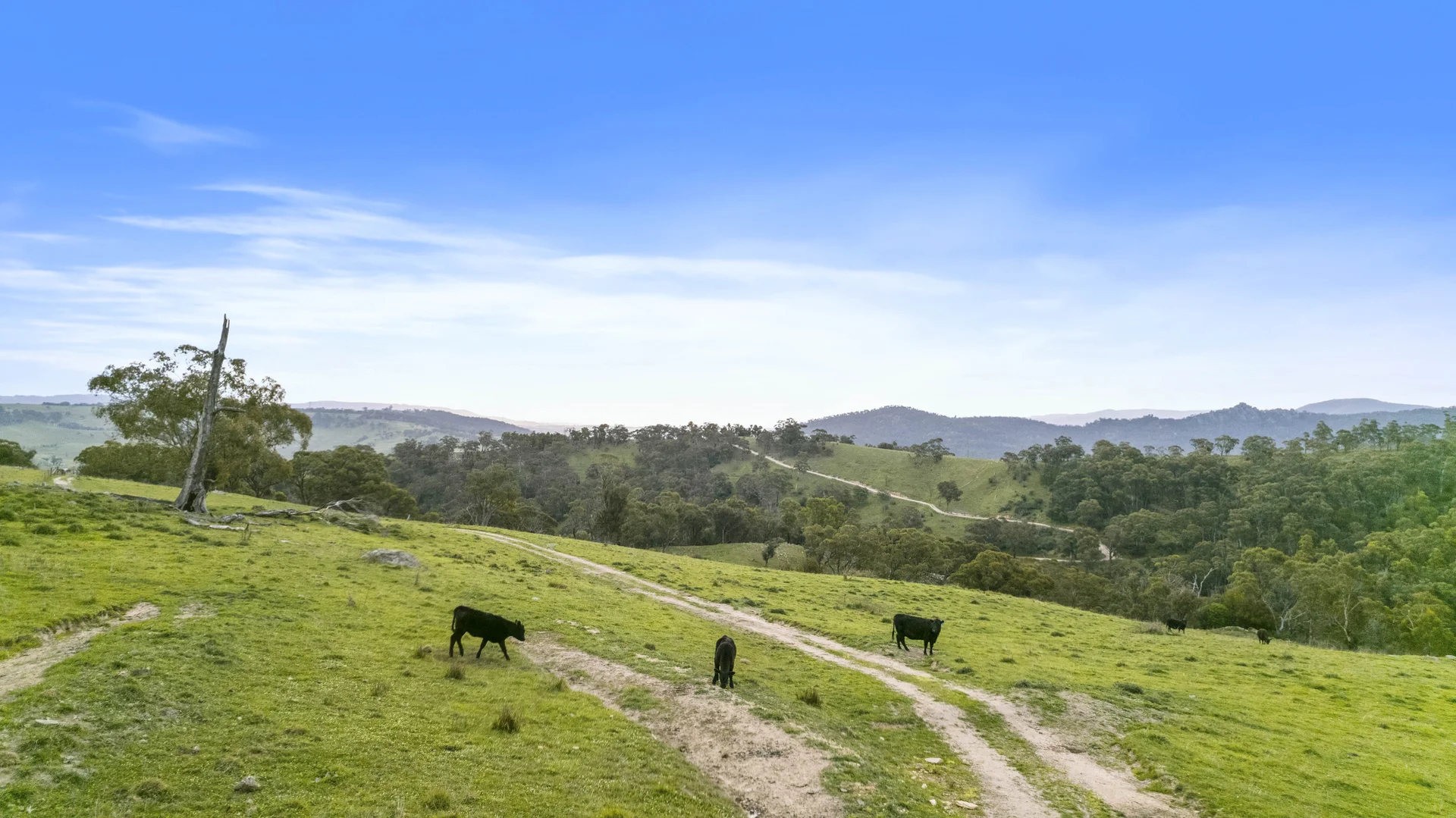 Additional image 30 of 191 Jerrys Meadow Road, Sodwalls NSW 2790