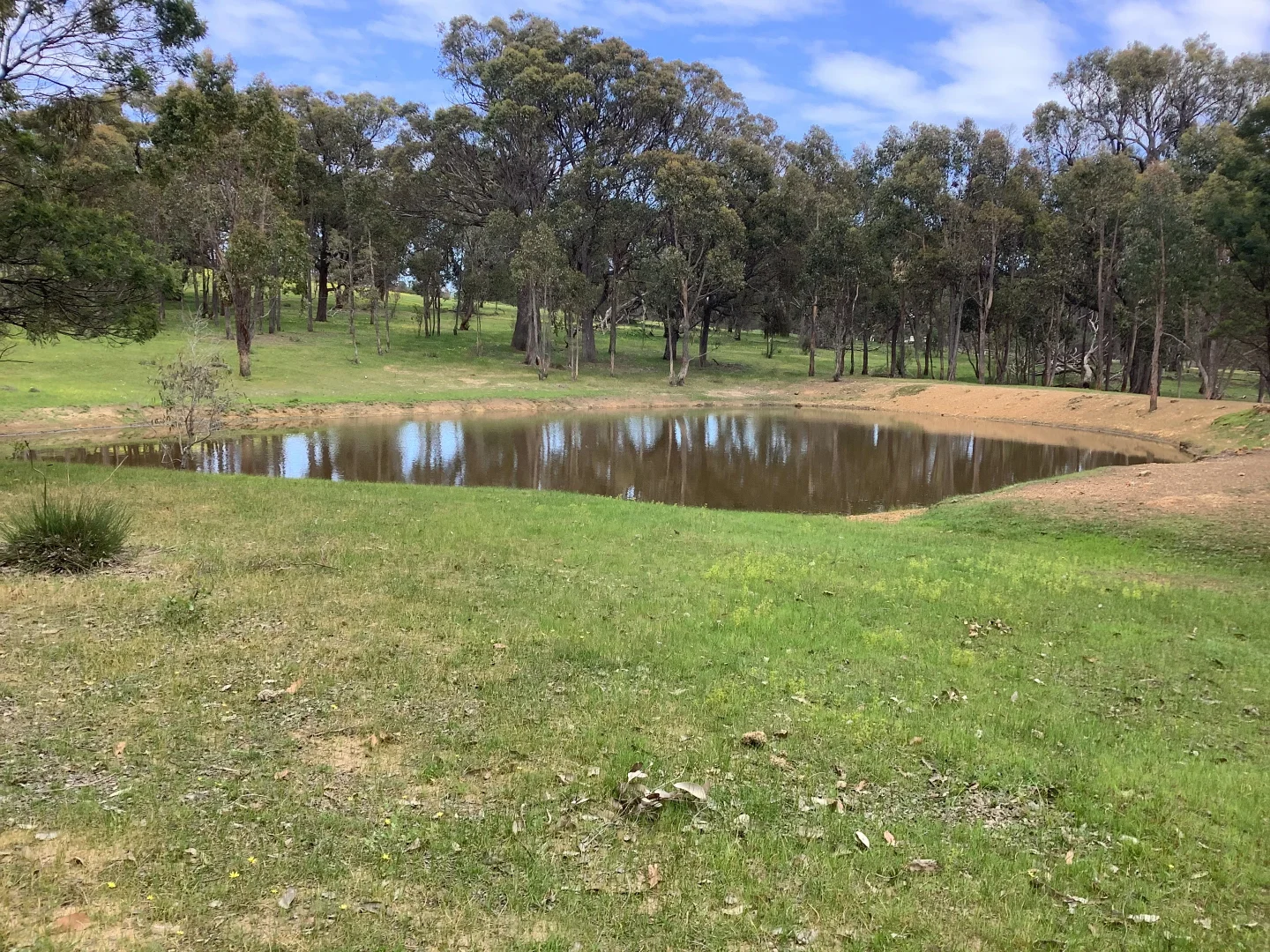 Additional image 2 of 90 Chetwynd Road, Whiteheads Creek VIC 3660