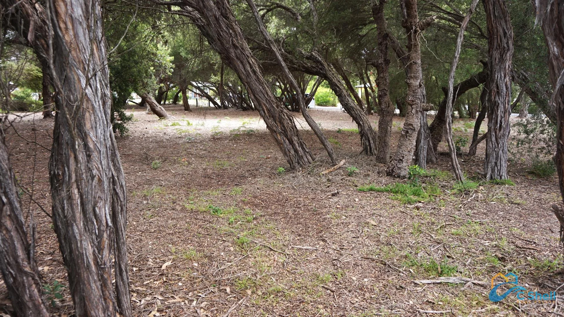 Additional image 9 of 25 Carroll Street, Loch Sport VIC 3851