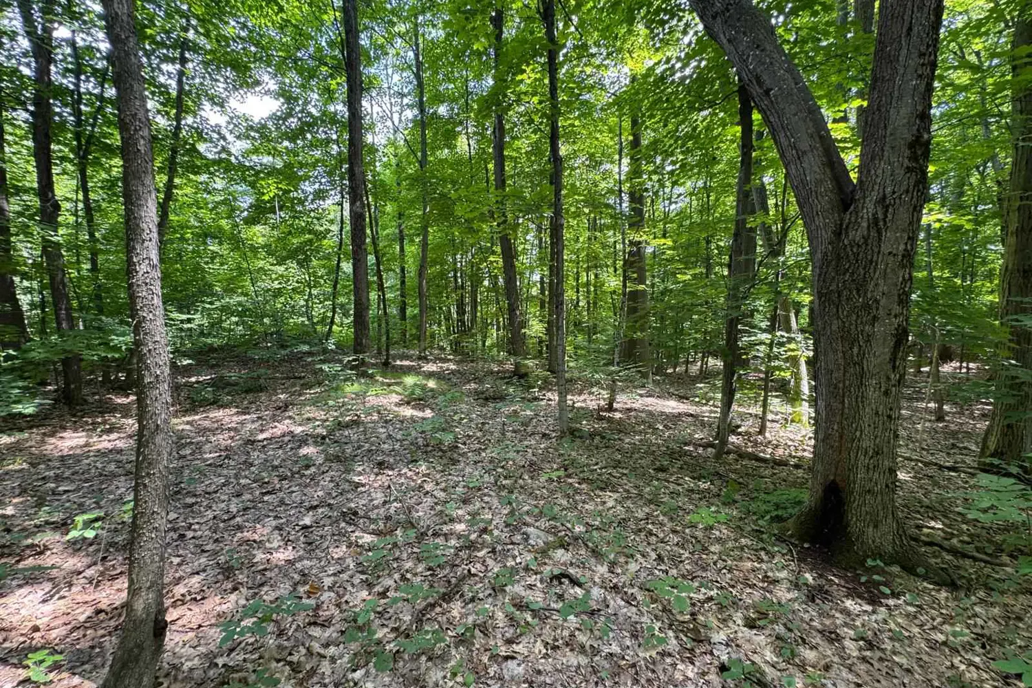 Additional image 3 of Pt Lt 112 Con A