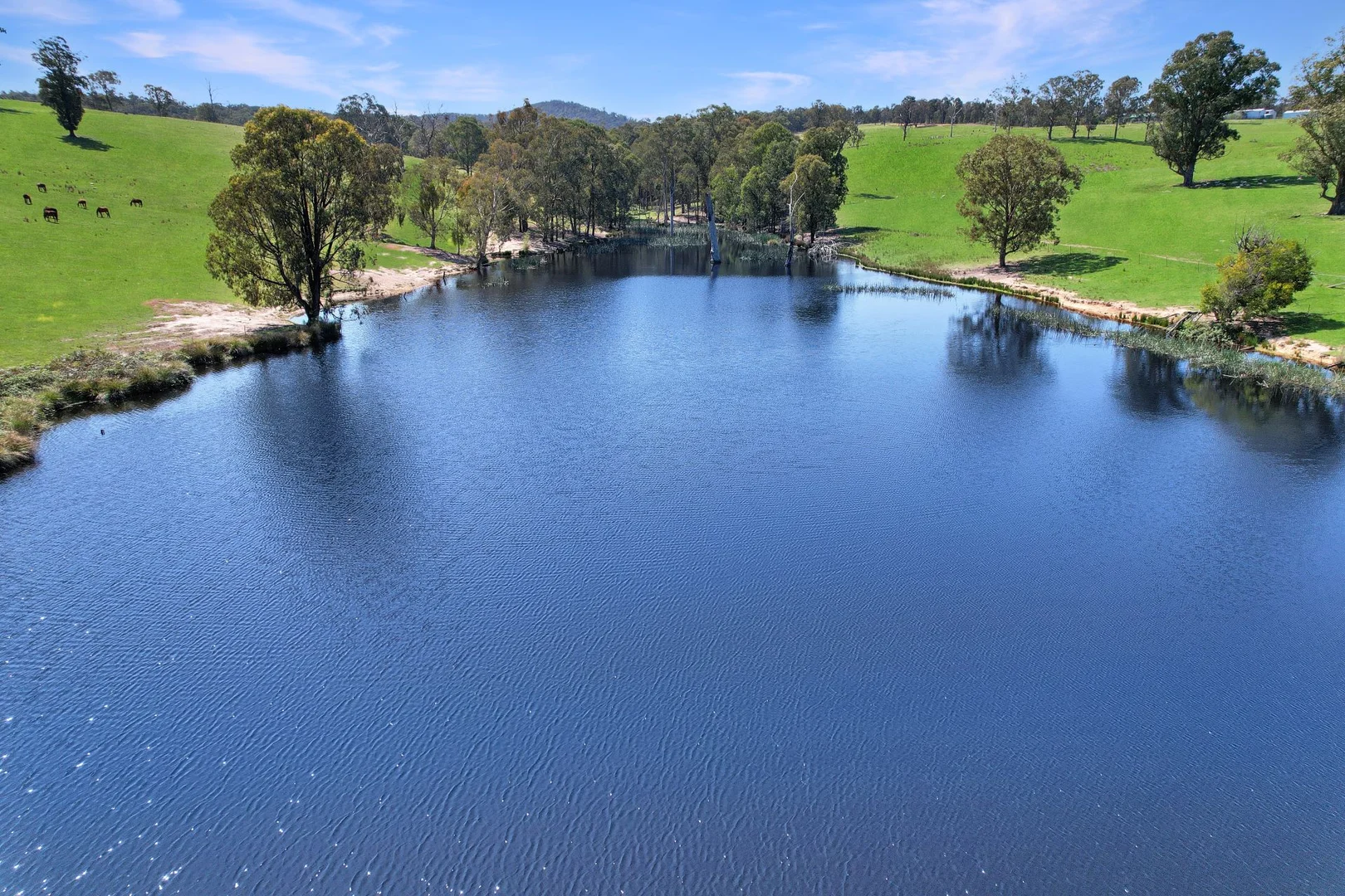 Additional image 15 of 151 Wattle Hill Road, Buchan South VIC 3885