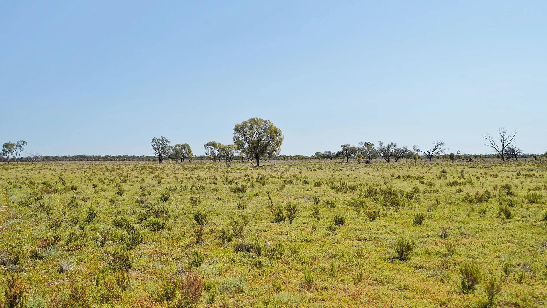 Additional image 2 of 1378 Keewong Lane, Coonamble NSW 2829