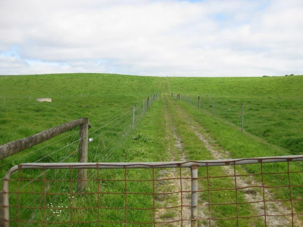 Additional image 14 of 16463 Bass Highway, Wynyard TAS 7325