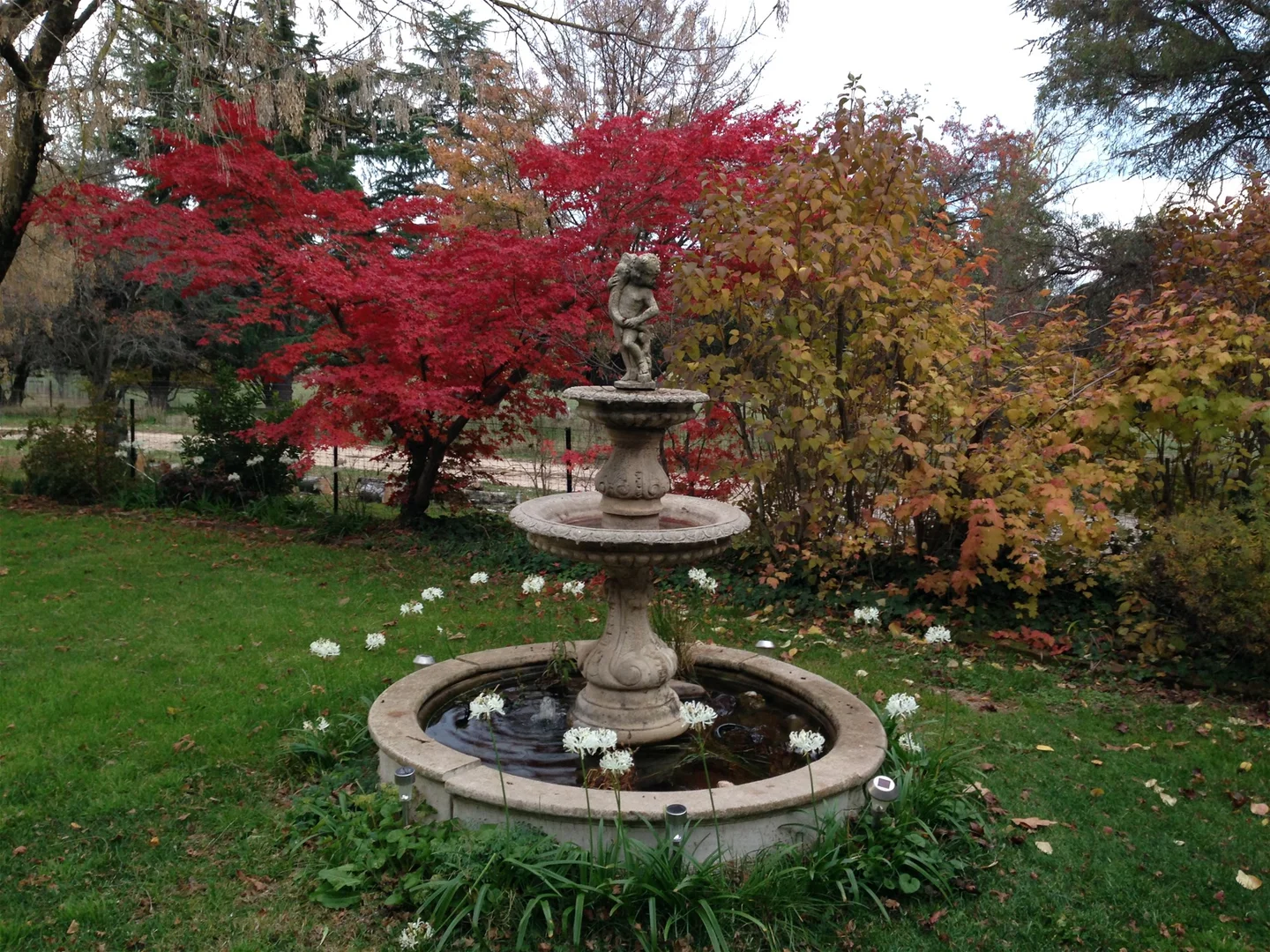 Additional image 26 of 33 Prices Lane, Blayney NSW 2799