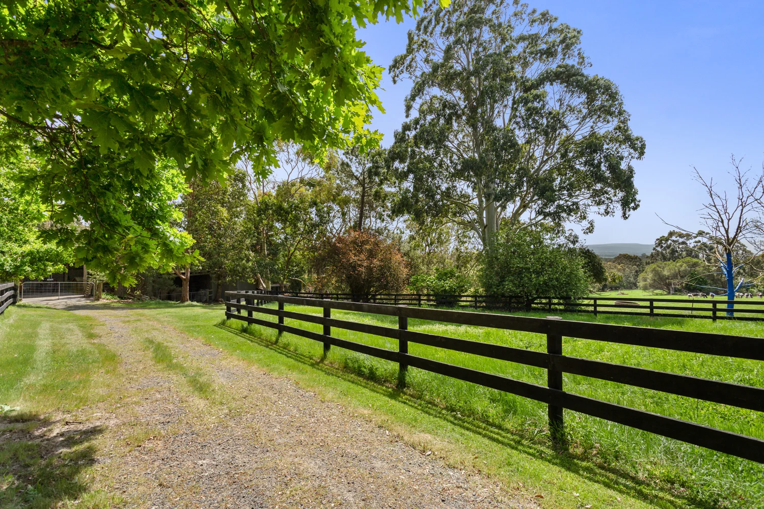 Additional image 23 of 345 Mt Lyall Road, Nyora VIC 3987