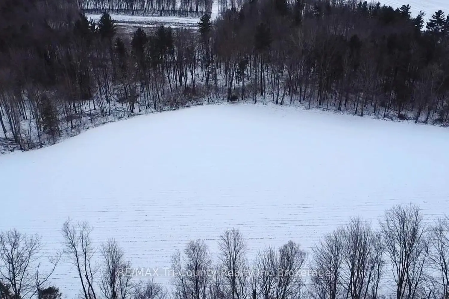 Additional image 17 of 1225 1St Concession Enr Road