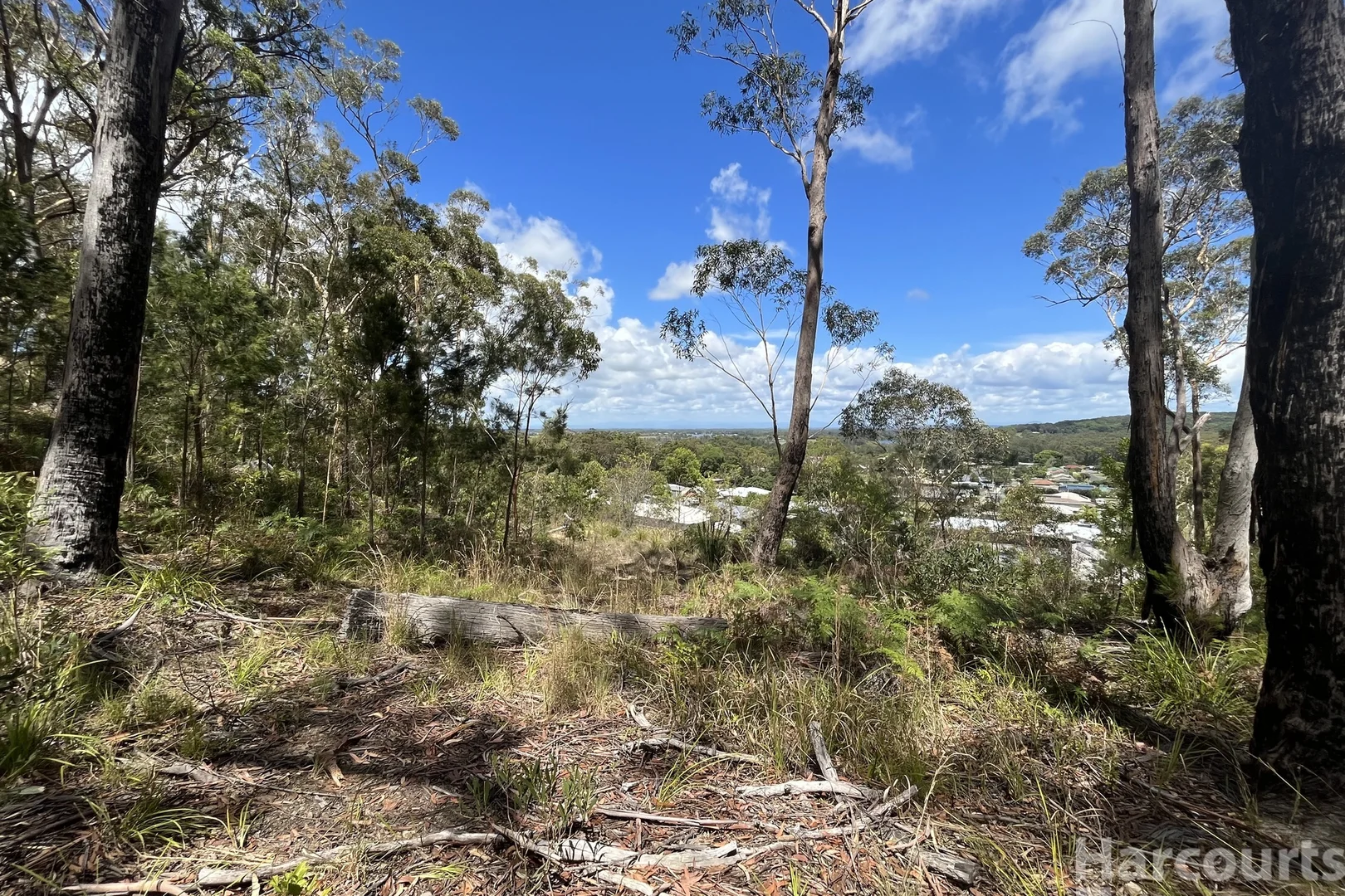 Additional image 4 of 132 Tallowwood Place, South West Rocks NSW 2431