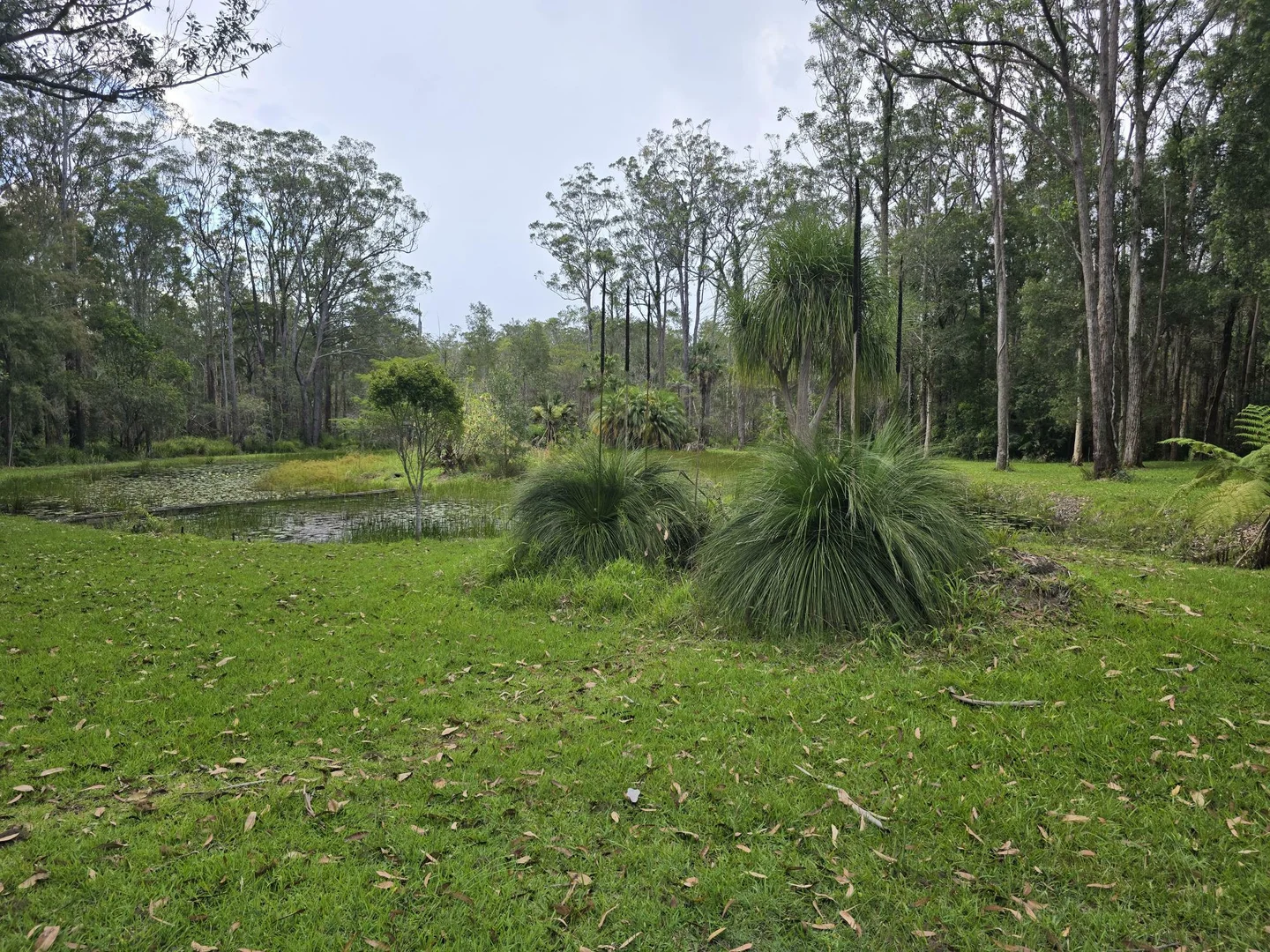 Additional image 21 of 145-159 Archville Station Rd, Bonville NSW 2450